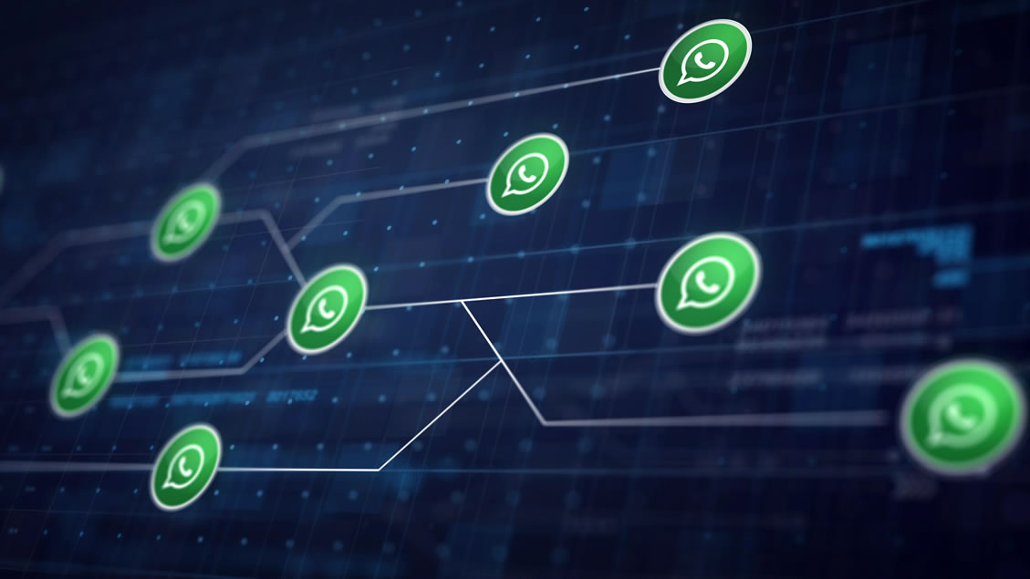 WhatsApp Business API: o que é e como pode ser explorada pelas empresas